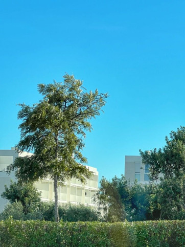 Apartment Rent Salou, Tarragonès, Tarragona, Katalonia, 43840, Hiszpania Salvador Vilaseca 7 39